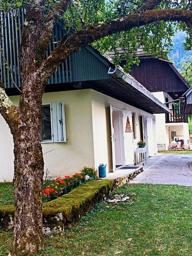 Cozy Cottage In The Heart Of The Triglav National Park Соча Экстерьер фото