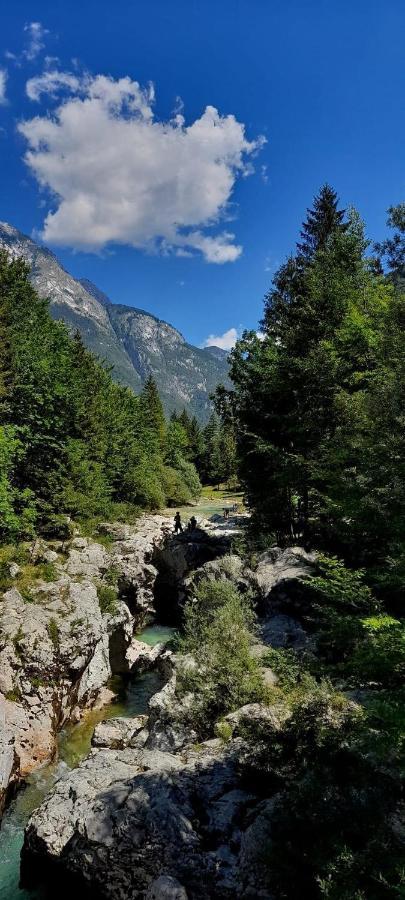 Cozy Cottage In The Heart Of The Triglav National Park Соча Экстерьер фото